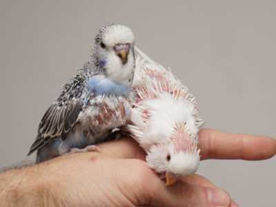Erich und Emily auf der Hand